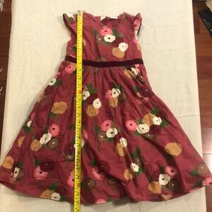 BabyGap Size 4Y Floral Party Dress